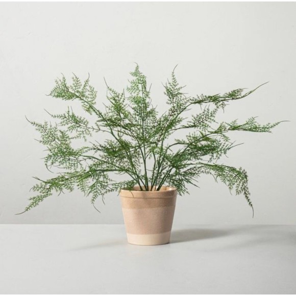 Faux Fern Potted Plant-Hearth & Hand™ with Magnolia Artificial Plant 18.5"x22" - Picture 1 of 3